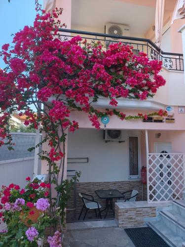 Filomeni Studios