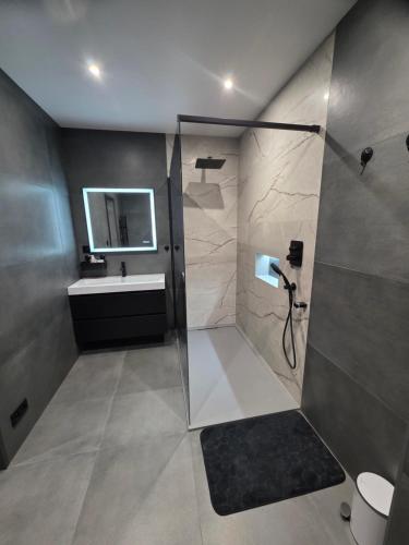 a bathroom with a shower and a sink at Chez Alex in Verviers