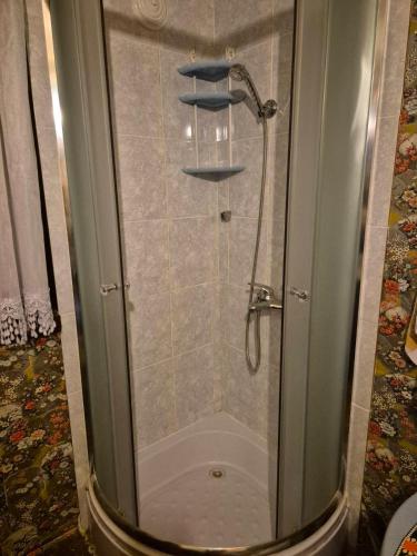 a shower with a glass door in a bathroom at Villa Vishensburg in Višni