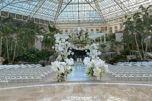 Gaylord Palms Resort & Convention Center photo 93