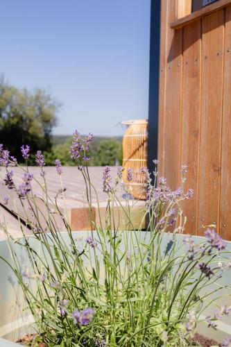 a plant with purple flowers in front of a building at Tiny House - Nature&calme - Pétanque&barbecue in Quincey