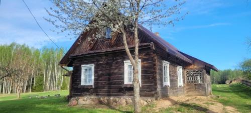 an old log cabin with a tree in front of it at Pirkia Miške in Kazitiškis