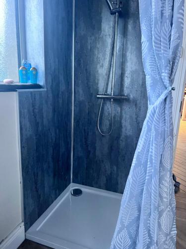 a shower with a shower curtain in a bathroom at Bluebell Tent at Ballyward Croft in Ardkeen
