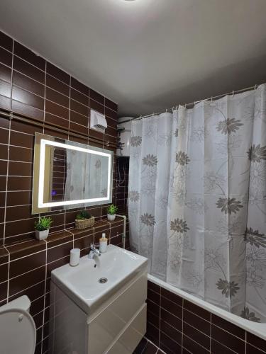 a bathroom with a sink and a shower curtain at Piva Rustic Escape in Plužine