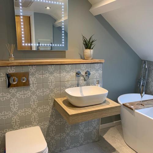 a bathroom with a sink and a toilet and a mirror at Brook Lodge, One bed house in AONB Dorset with swimming pool in Iwerne Minster
