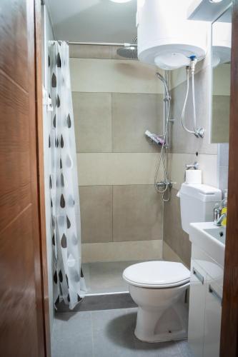 a small bathroom with a toilet and a shower at Vikendica Vinogradski Mir, Jacuzzi and Vineyard View in Bačinci
