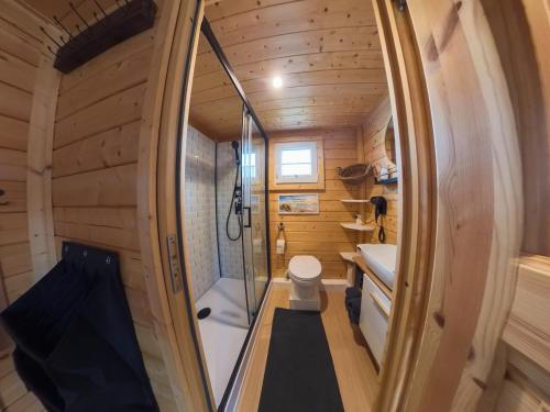 a small bathroom with a shower and a toilet at Haus am See Thermal Bad Saarow in Bad Saarow