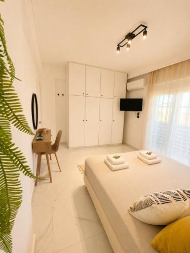 Victoria's Spacious Apartment