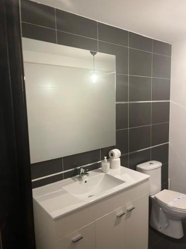 a bathroom with a sink and a mirror and a toilet at Apartamento Casa Latre in Barbastro