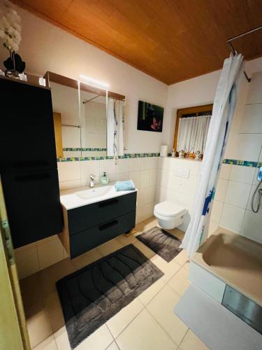 a bathroom with a sink and a toilet and a shower at Apartment inn Austria in Pfunds