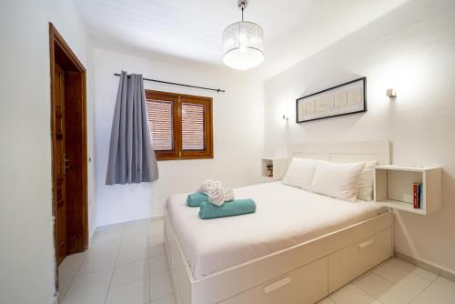 Panelos B3 By BLVE Homes