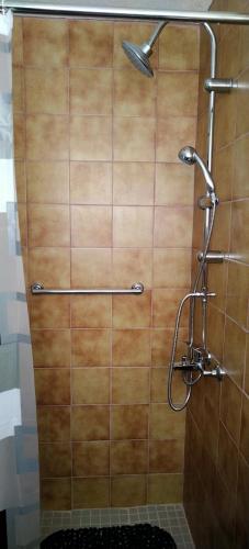 a bathroom with a shower with a tiled wall at Villa sul lago in Jajce