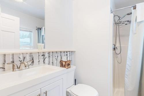 a bathroom with a sink and a toilet and a shower at Northwoods Lodge Cabin 1 in Morrisville