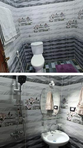 a bathroom with a toilet and a sink at Flower House in Al Aqālitah