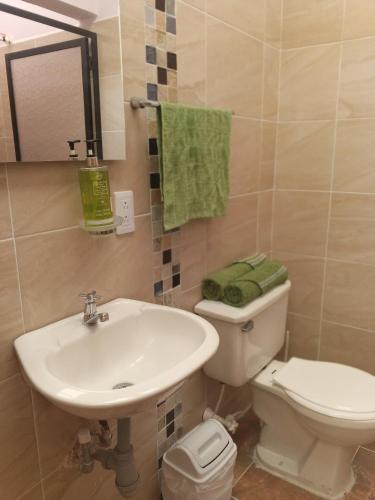 a bathroom with a white sink and a toilet at Arboleda in Manizales