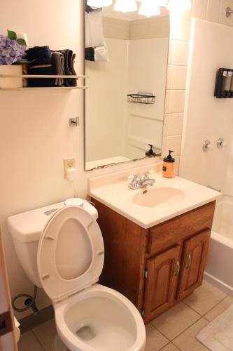 a bathroom with a toilet and a sink at Gano Street Retreat in Great Bend