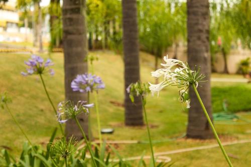 a group of flowers in a park with trees at Hotel Residence Jaguary in Jaguariúna