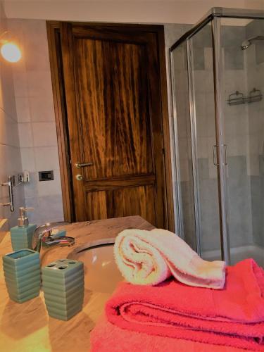 a bathroom with a sink and a shower with a towel at Agriturismo Nonna Du in Gavi