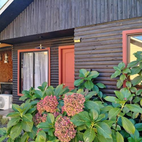 a bush of flowers in front of a house at cabañas roccajoma in Salto del Laja