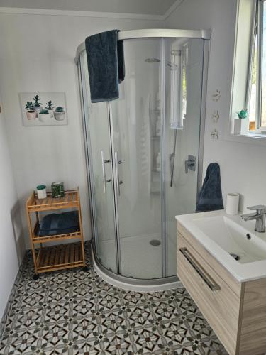 a bathroom with a shower and a sink at Diamond Retreat in Tairua