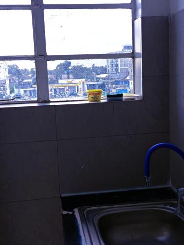 a bathroom with a sink and a window with a view at Kitengela prime suites in Kitengela 