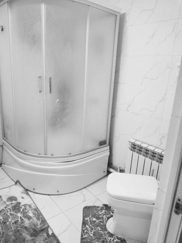 a bathroom with a shower and a toilet at Oskon Guesthouse in Kyzart
