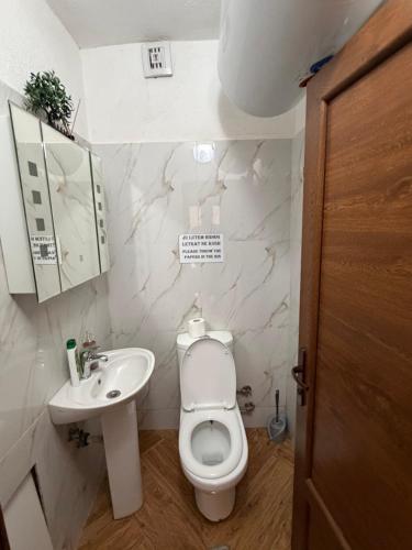 a bathroom with a white toilet and a sink at Guesthouse Demushi in Valbonë
