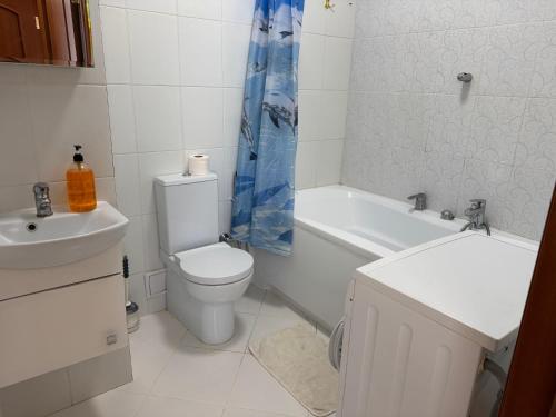 a bathroom with a toilet and a tub and a sink at Аркадия, Генуэзская in Odesa