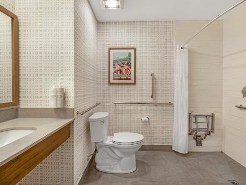 a bathroom with a toilet and a sink at Hampton Inn & Suites Nashville Franklin in Franklin