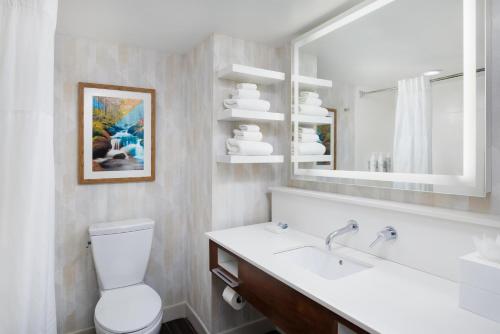 a bathroom with a sink and a toilet and a mirror at Hampton Inn Oak Ridge Knoxville in Oak Ridge