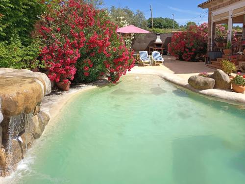 a large pool of water with chairs and flowers at Casa Rural Dani. Escalona in Toledo