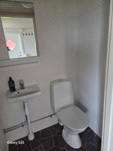 a bathroom with a toilet and a sink and a mirror at Askeviks Camping & Stugor in Sjötorp
