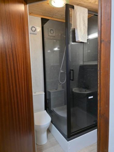 a small bathroom with a toilet and a sink at Beeches Guest House in Dyce