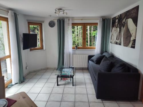 a living room with a couch and a tv at Ferienwohnung am Trillenbühl in Salem