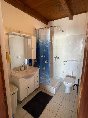a bathroom with a sink and a toilet and a shower at Apartman Grospic in Cesarica