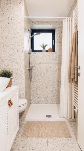 a bathroom with a shower with a toilet and a sink at SEAESTA Cosy Sea Apartment in Koper