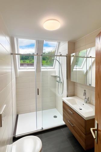 a bathroom with a shower and a toilet and a sink at Bauernhof Mayer in Owingen
