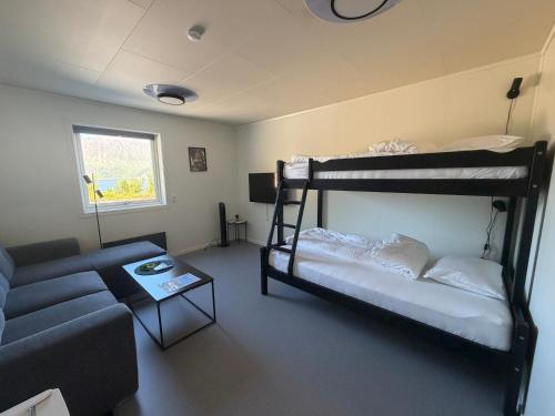 a living room with two bunk beds and a couch at Camp Mefjord in Senja