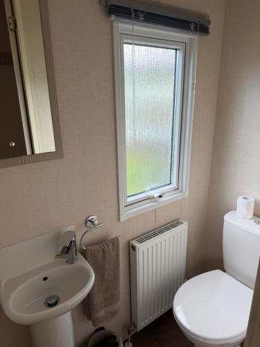 a bathroom with a sink and a toilet and a window at 20 The Green, Lilliardsedge in Jedburgh