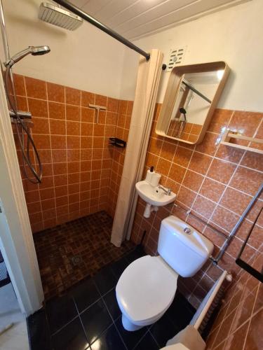 a bathroom with a toilet and a sink and a shower at Onder de regenboog in Egmond aan den Hoef
