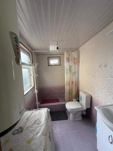 ein kleines Badezimmer mit Toilette und Dusche in der Unterkunft Arnas in Barskoon