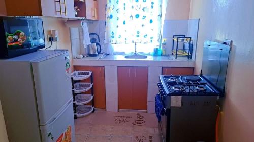 a small kitchen with a stove and a sink at Tee Luxury Homes in Naivasha