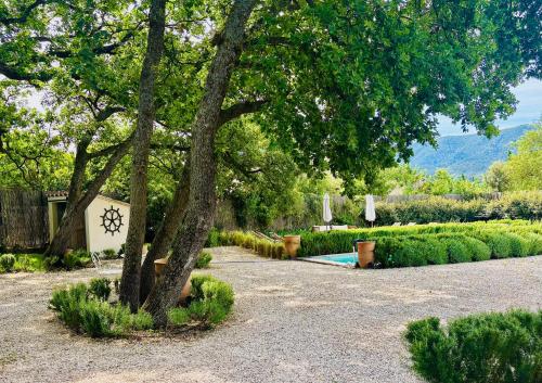a garden with a tree and a swimming pool at La Villa Bohème Piscine Jardin Vue Luberon in Oppède