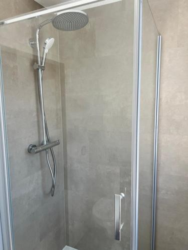 a shower with a glass door with a shower head at Apartment Altstadt Stralsund in Stralsund