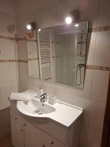 a bathroom with a sink and a mirror at Apartman Natali in Buzdohanj
