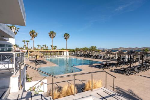 a view of a swimming pool with chairs and palm trees at Akti Dimis Hotel in Tigaki