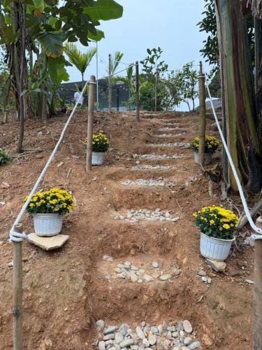 a set of stairs with flowers in pots at Fish Farm Uncle Thanh in Xóm Soi (1)