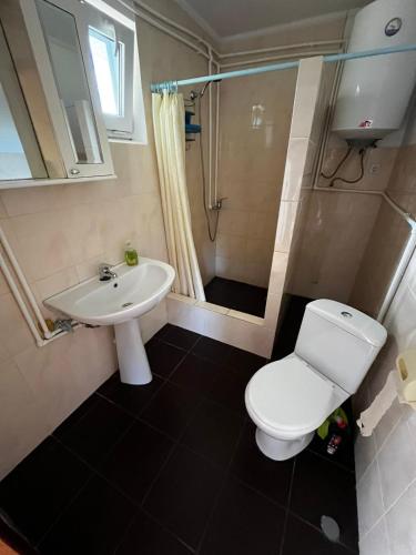 a bathroom with a white toilet and a sink at Будиночок Перший rio de pulmo in Pulʼmo