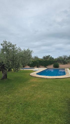 Mediterraneo