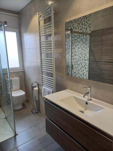 a bathroom with a sink and a toilet at Apartament Can Jaumató in Sant Quirze de Besora